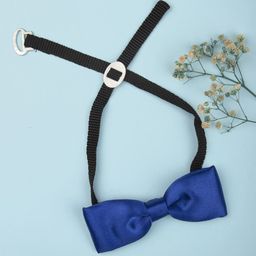 Arendelle Boys Blue Satin Bow Tie-10