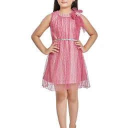 Peppermint Pink Net Party Dress-picture-3