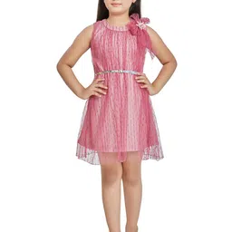 Peppermint Girls  Pink Net A-Line Dress-image-60