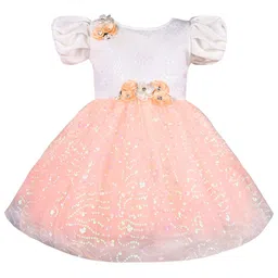 Wish Karo Embellished Puff Sleeve Net A-Line Dress-picture-14