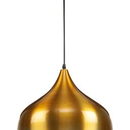 Whiteray Gold-Toned & Black Ceiling Lamp-19