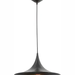 Whiteray Black & Brown Contemporary Abstract Shaped Ceiling Lamp-32