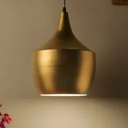 Whiteray Gold-Toned Aluminium Contemporary Ceiling Lamp-24
