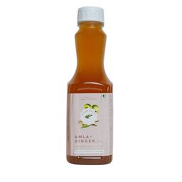 Baidyanath Amla & Ginger Ready To Drink Juice - 1 L-image-1