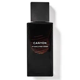 Bath & Body Works Men Canyon Cologne - 100 ml-45