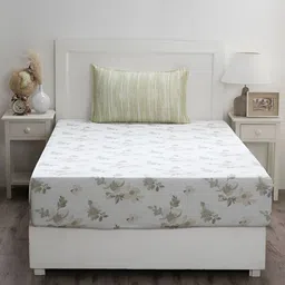 MASPAR Optimist Bloom White & Green Printed 300TC Cotton Single Bedsheet & Pillow Cover-image-16