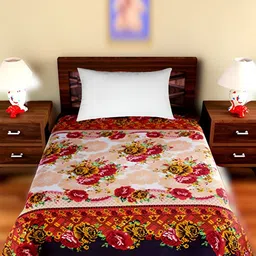 Supreme Home Collective Beige & Red Floral Printed 144 TC Single Bedsheet-image-96