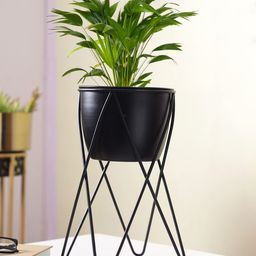 Aapno Rajasthan Solid Metal Planter With Stand-54