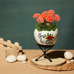 Homspurts White & Black Meena Printed Metal Planter With Stand-8