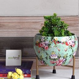 ecofynd Lio Printed Metal Planter with Stand-2