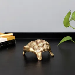 Two Moustaches Brown Textured Tortoise Figurine Showpiece-image-6