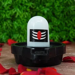 PujaNPujari White & Black Water Sensor Shivling Tiny Idol Showpiece-image-81