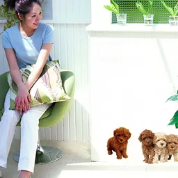 Jaamso Royals Green & Brown Flower Basket Printed Self-Adhesive Removable Wall Sticker-image-61