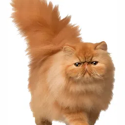 Wallpics Brown Cat Printed Water Resistant Wall Sticker-image-81