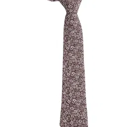 Alvaro Castagnino Men White & Brown Printed Skinny Tie-image-79