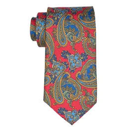 The Tie Hub Men Paisley Printed Italian Como Silk Necktie-image-80