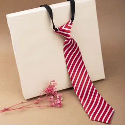 Arendelle Boys Red & White Striped Satin Adjustable Skinny Tie-99