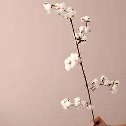 Artecasa Set of 5 Dried Cotton Stick Flower-14
