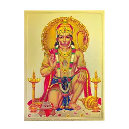 Hawai Gold-Toned 1 Piece Paper Wall Fashion-image-46