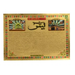 Hawai Gold-Toned 1 Piece Paper Wall Fashion-image-39