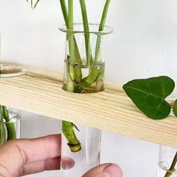 ecofynd Off White & Transparent 1-Tier Wall Hanging Test Tube Planter with Wooden Holder-32