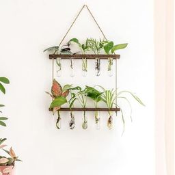 ecofynd Off White 10 Pcs Test Tube & 2-Tier Wall Hanging Planter With Wooden Holder-20