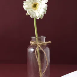 TAYHAA Transparent Crystal Clear Glass Vase-image-18
