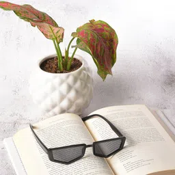 HAUTE SAUCE by Campus Sutra Unisex Black Lens & Black Other Sunglasses with Polarised Lens-51