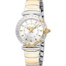 Just Cavalli Women Dial & Stainless Steel Bracelet Style Straps Watch JC1L363M0065-image-56