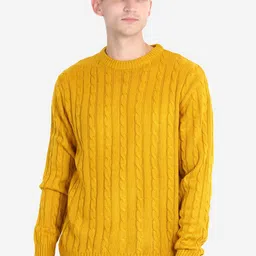 JoE Hazel Men Yellow Cable Knit Acrylic Pullover-image-75