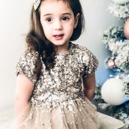 Cherry Crumble Girls Grey Net Sequinned Fit & Flare Dress with Alligator Hairclip-picture-39
