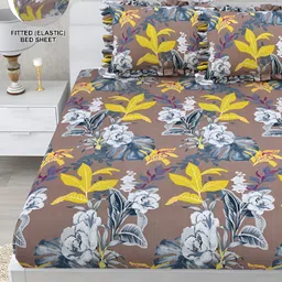 DREAM WEAVERZ Brown & Yellow Floral 260 TC Fitted Bedsheet with 2 Frill Pillow Covers-image-24