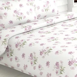 haus & kinder Purple & White Floral Cotton 186 TC Queen Bedsheet With 2 Pillow Covers-23