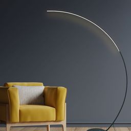 THE STELLAR KRAFT Black & White Metal Elegant Edge Floor Lamp-50
