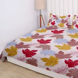 RD TREND Cream & Red Floral Cotton210 TC King Bedsheet with 2 Pillow Covers-image-93
