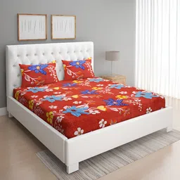 ROMEE Red & Blue Floral Printed 144 TC Queen Bedsheet With 2 Pillow Covers-37