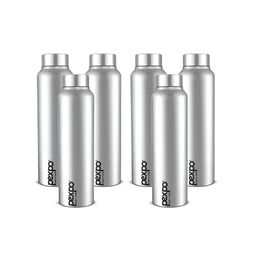 Pexpo Silver-Toned 6 Pieces Stainless Steel Single Wall Vacuum Water Bottle-7