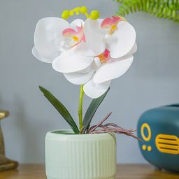 MARKET99 Green & White Orchid Artificial Flowers With Pot-13