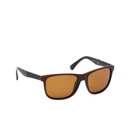 HRINKAR Unisex Wayfarer Sunglasses with Polarised and UV Protected Lens HRS498-11