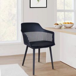 casacraft from pepperfry Zinnia Cafe Chair in Black Colour-picture-2