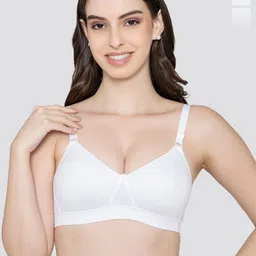 K LINGERIE Pack of 2 Tessa Full Support Seamless Padded Cups Designer Bra-43