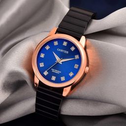 Sandy D Carter Women Embellished Dial Analogue Watch SDC24-60-RG-BL-image-42