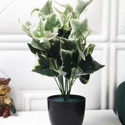 FOLIYAJ Cream & Green Ivy Artificial Flowers and Plants-6