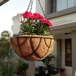 Garden Deco Black & Brown 6 Pieces Metal Hanging Basket With Chain & Coco Liner Planter-image-50