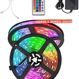 SPARK WORLD Pink  And Blue Rice Shaped LED String Lights Rope With Remote-15