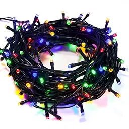 ENORMITY Black & Red Rice Shape String Lights-58