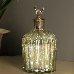 Homesake Silver Glass Bottle Table Lamp-19