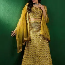 Sangria Ethnic Motifs Embroidered Sequinned Net Semi-Stitched Lehenga Choli-17