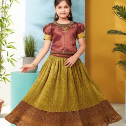 BAESD Girls Embroidered Ready to Wear Lehenga & Choli-picture-12