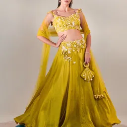 ONE KNOT ONE Embroidered Made to Measure Lehenga & Blouse With Dupatta-11